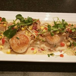 Meet your Posher, Dennis